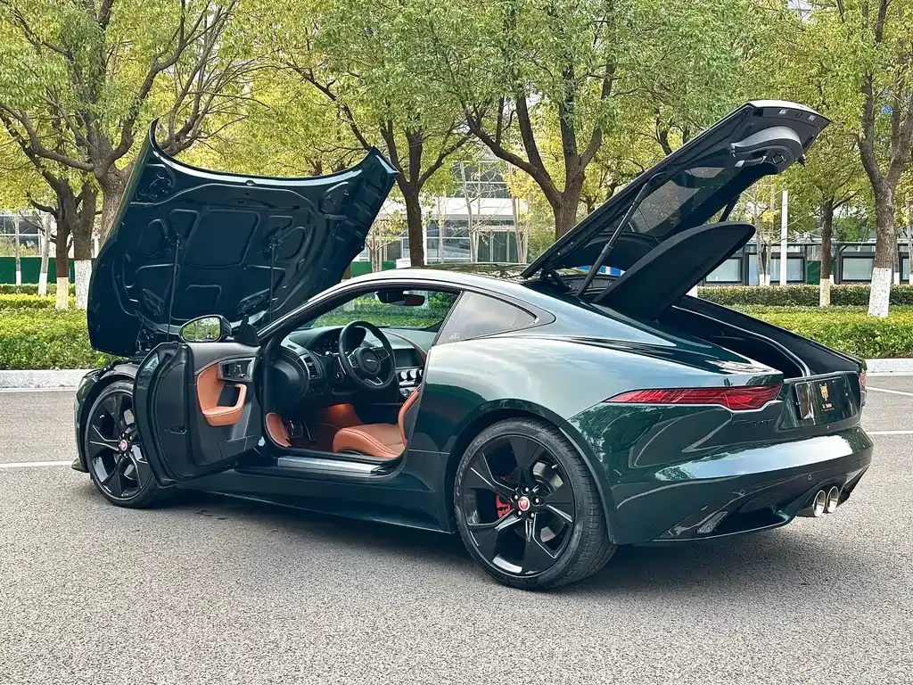 Jaguar F-TYPE — фото 5