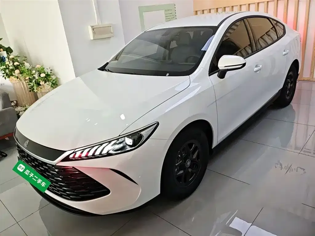 BYD Qin PLUS — фото 1
