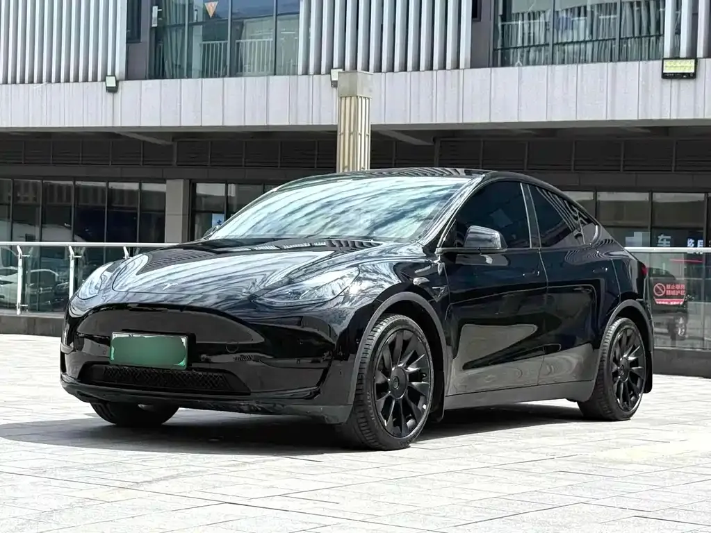 Tesla Model Y — фото 1