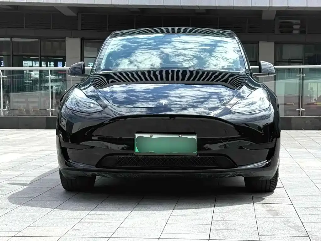 Tesla Model Y — фото 2