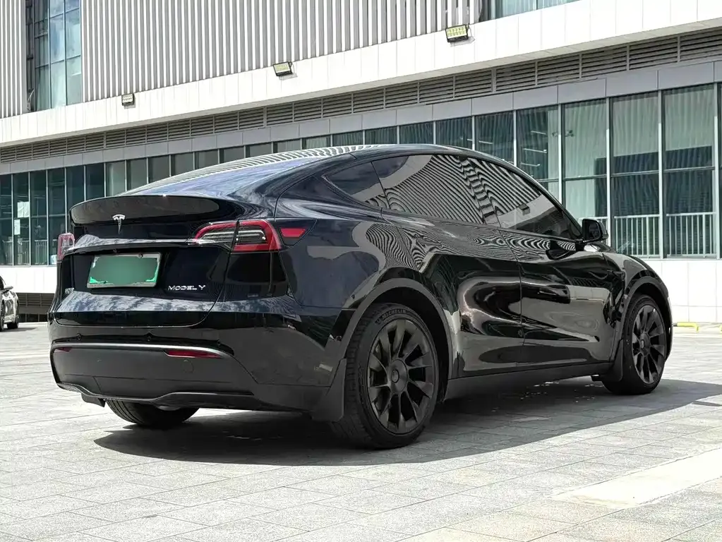 Tesla Model Y — фото 3