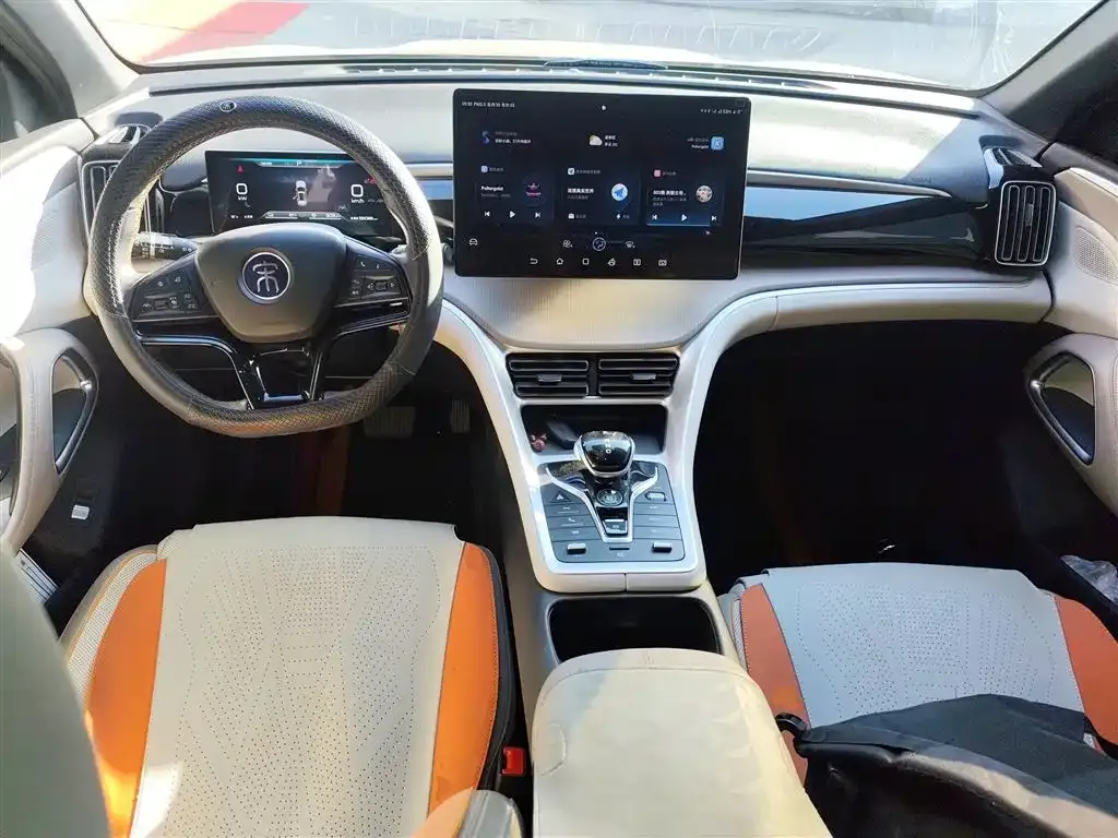 BYD Pro New Energy — фото 10