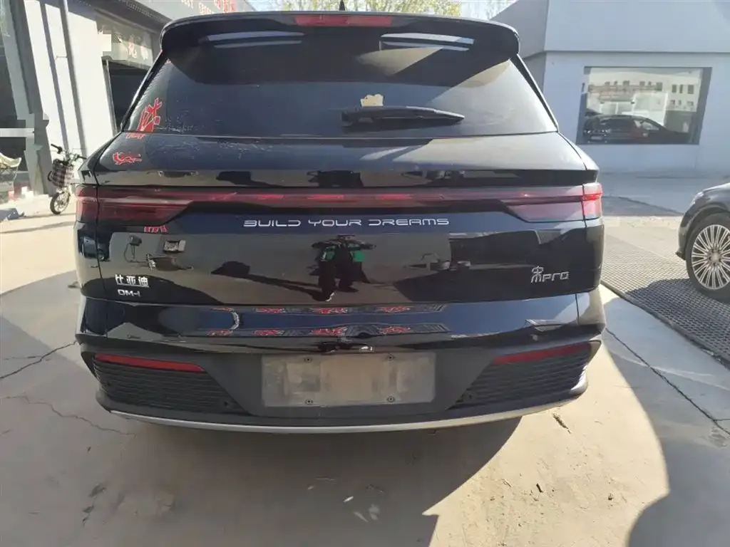 BYD Pro New Energy — фото 6