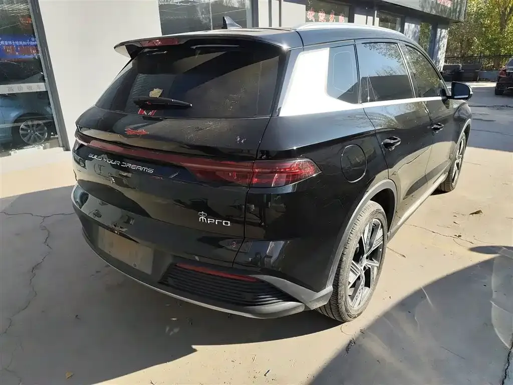 BYD Pro New Energy — фото 7