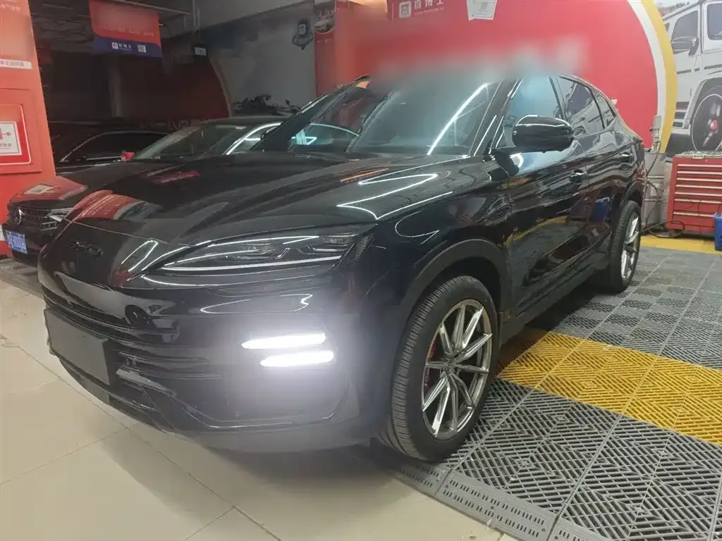 BYD PLUS New Energy — фото 1