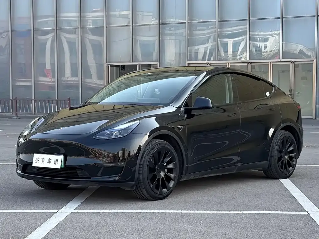 Tesla Model Y — фото 1