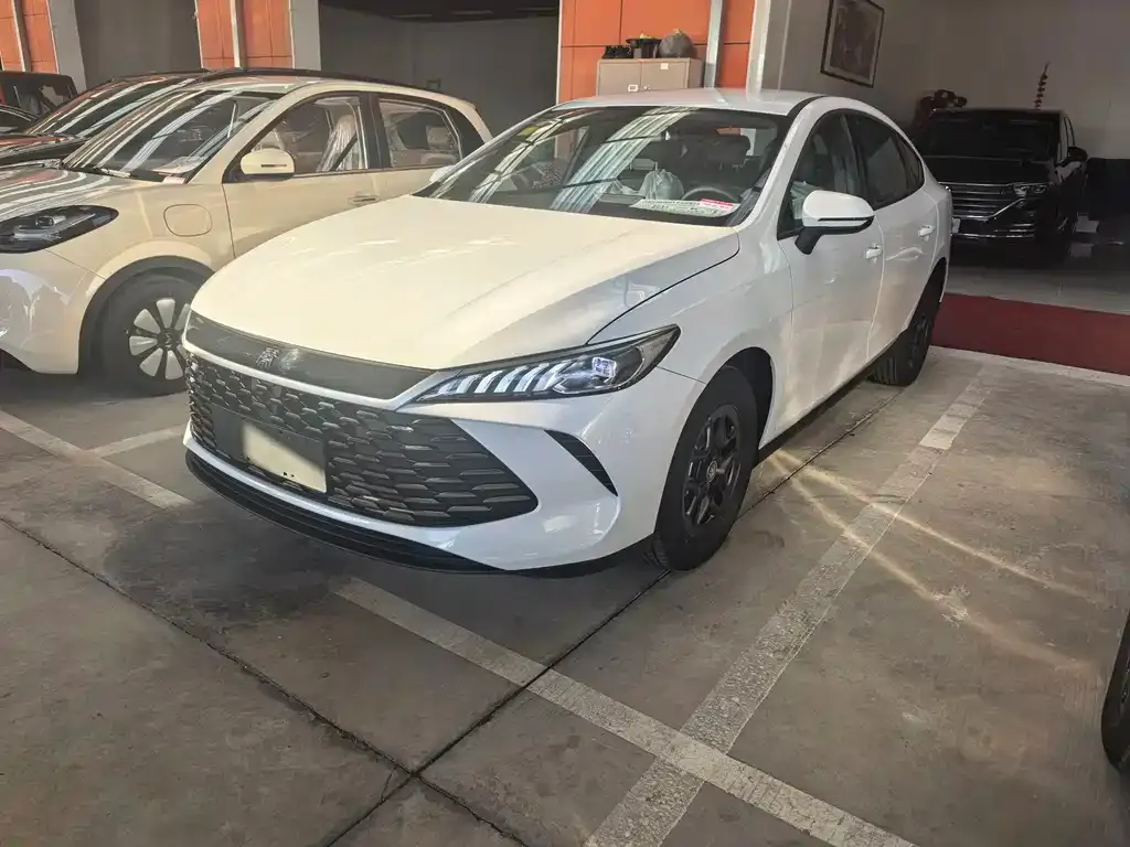 BYD Qin PLUS — фото 2