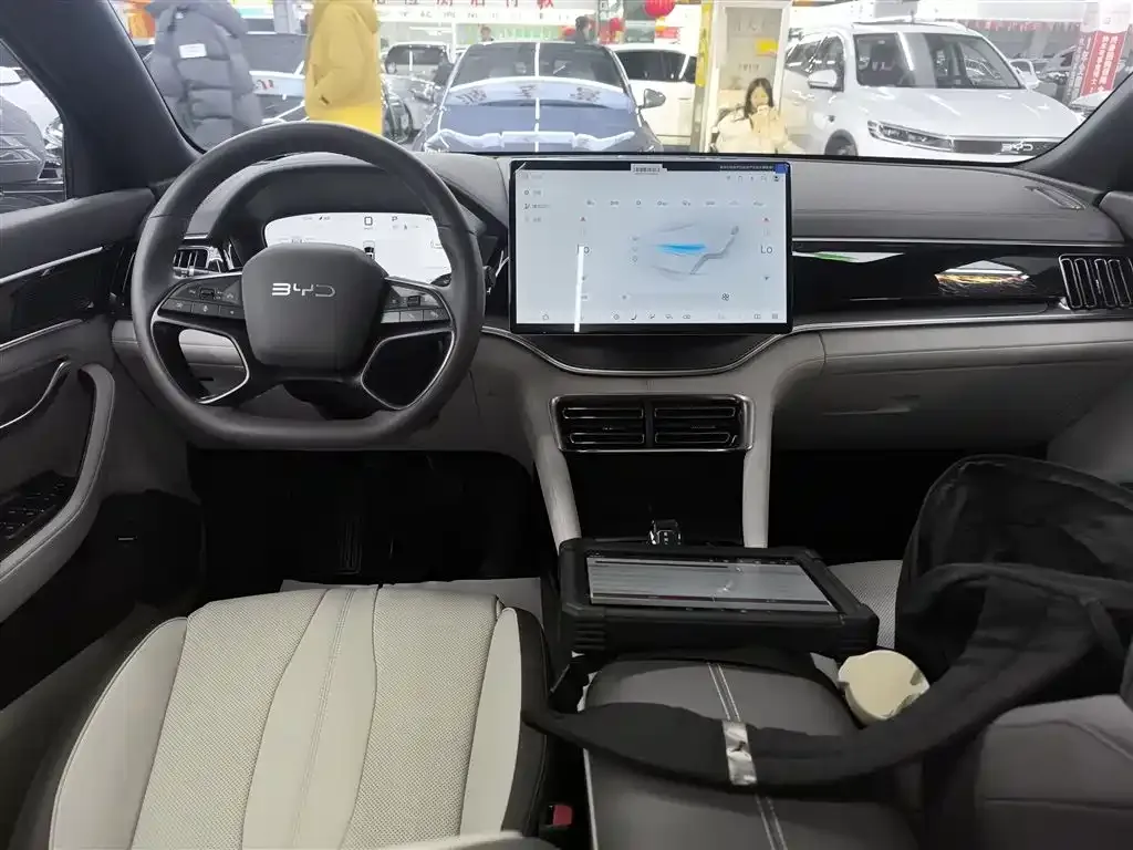 BYD PLUS New Energy — фото 10