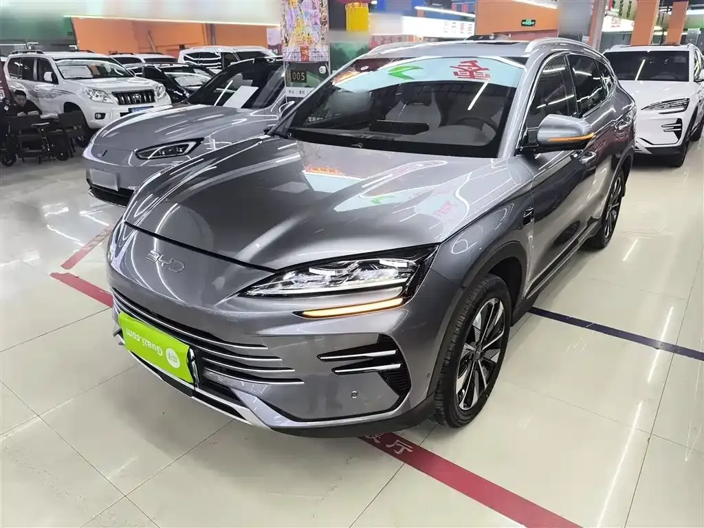 BYD PLUS New Energy — фото 2