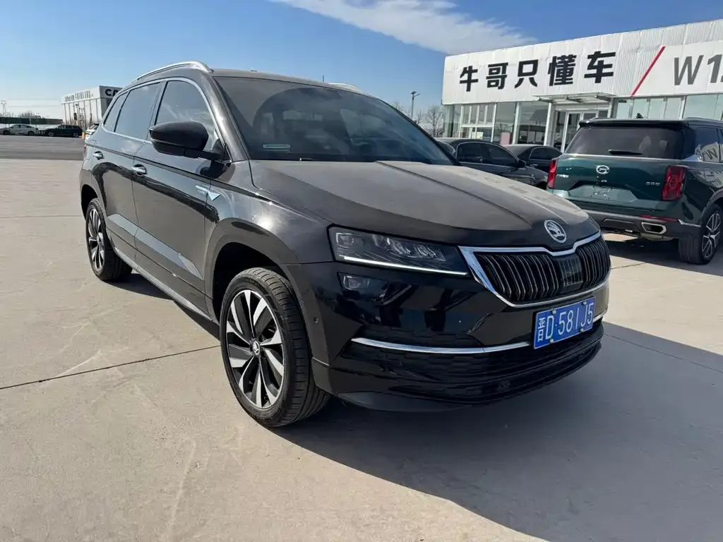Skoda Karoq — фото 3