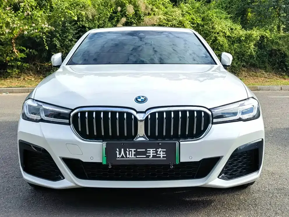 BMW 5 Series New Energy — фото 2