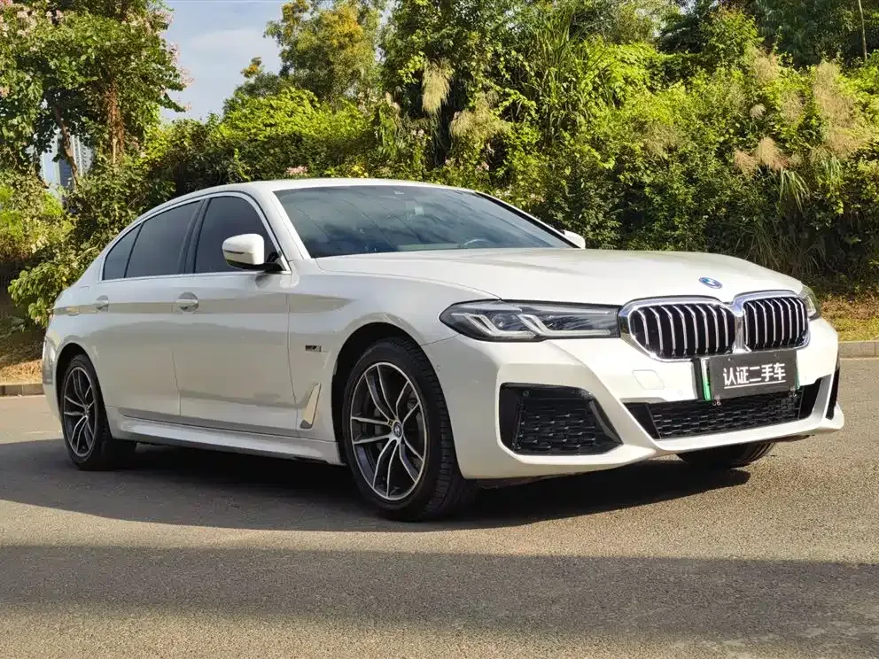 BMW 5 Series New Energy — фото 3