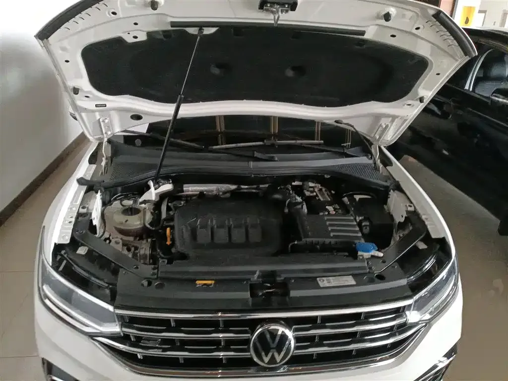 Volkswagen Tiguan X — фото 10