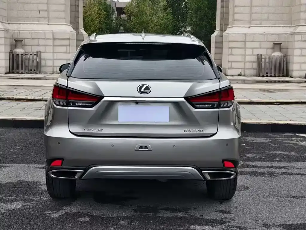 Lexus RX — фото 8
