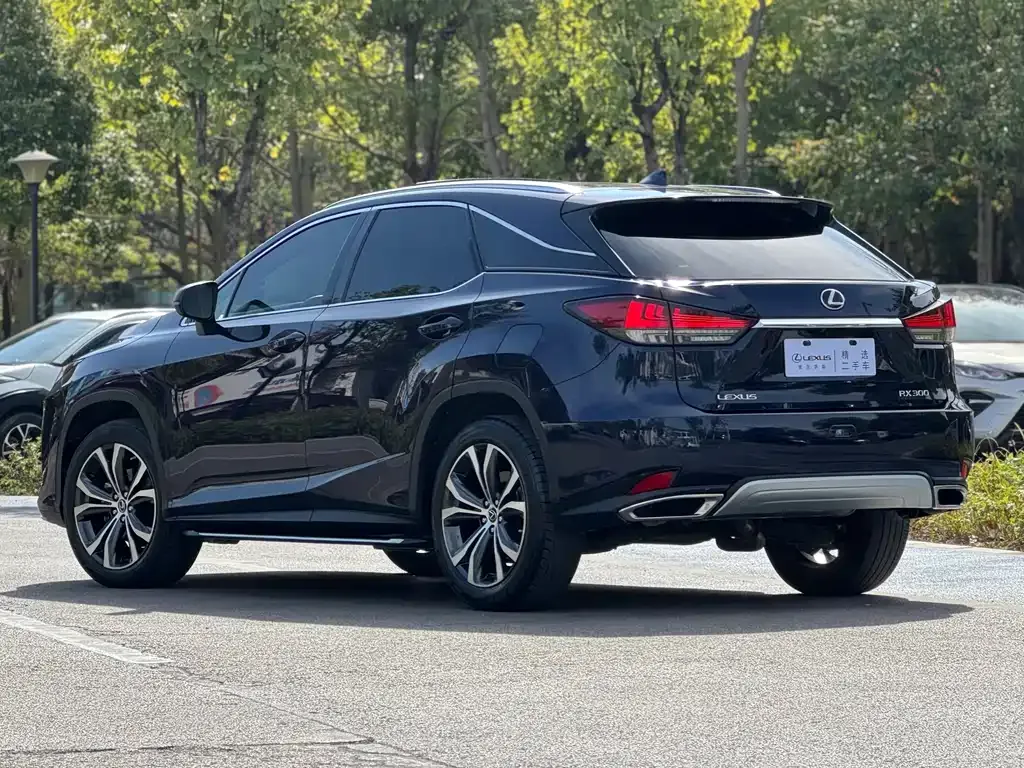 Lexus RX — фото 4