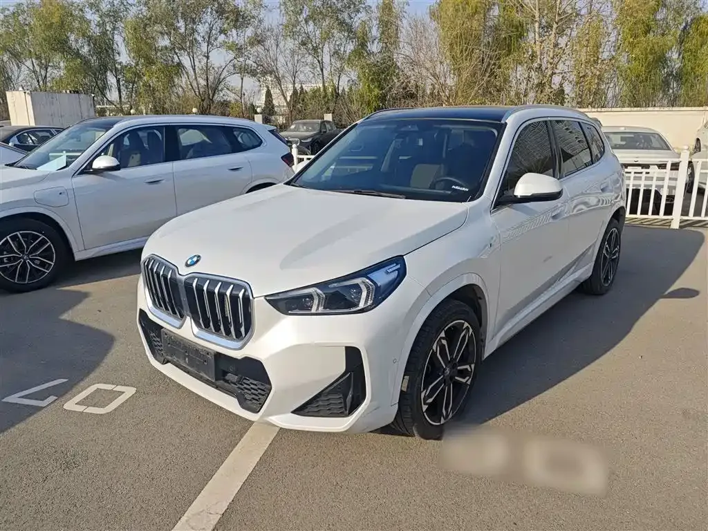 BMW X1 — фото 1