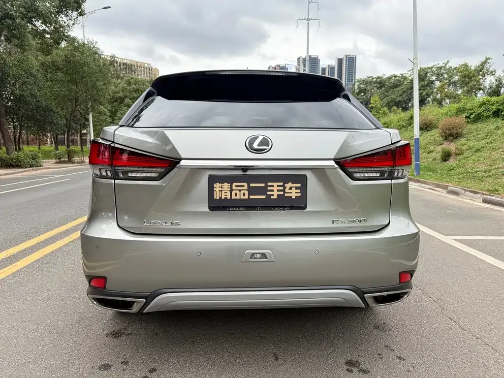 Lexus RX — фото 4