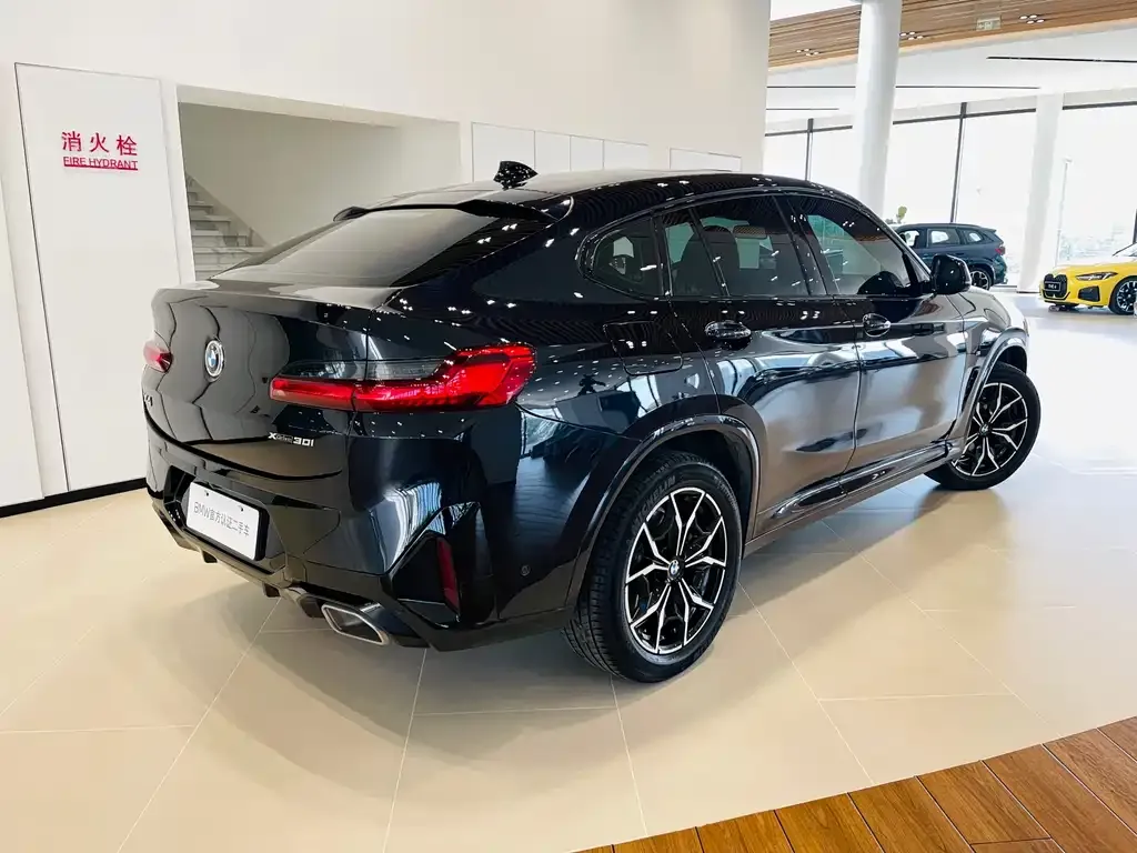 BMW X4 — фото 4