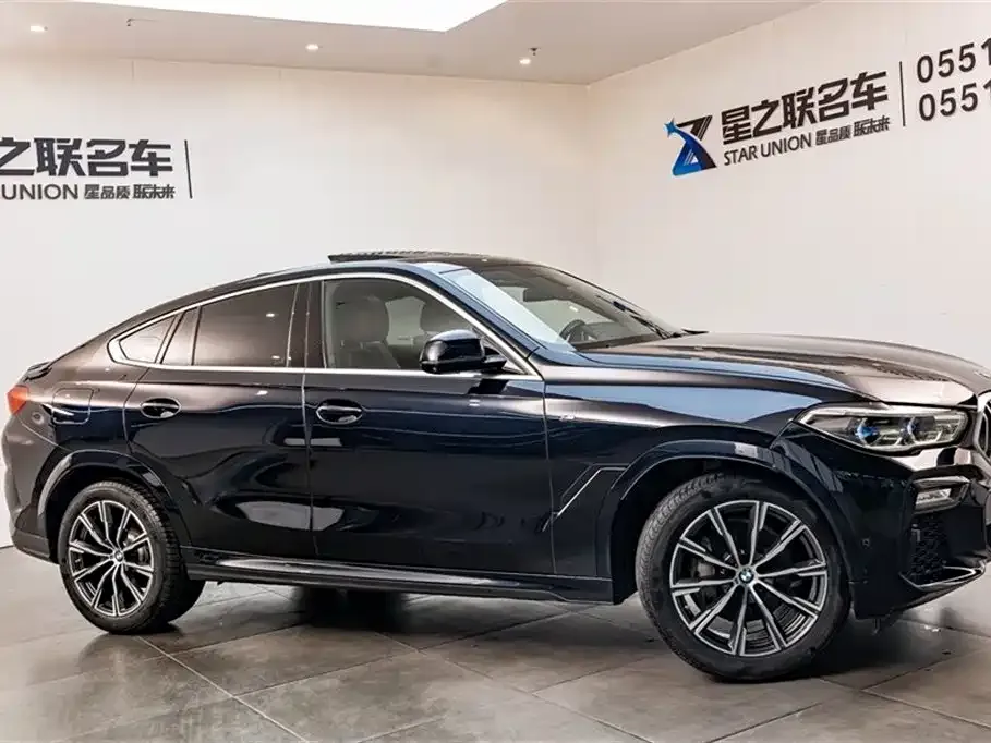 BMW X6 — фото 6
