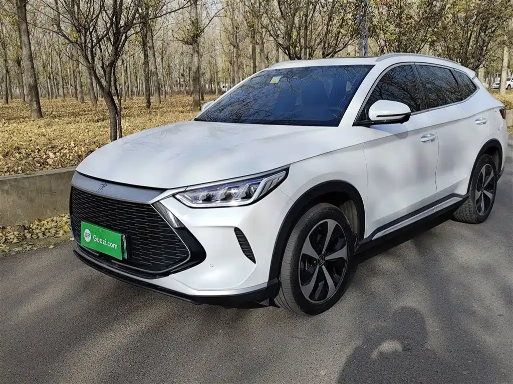 BYD PLUS New Energy — фото 1