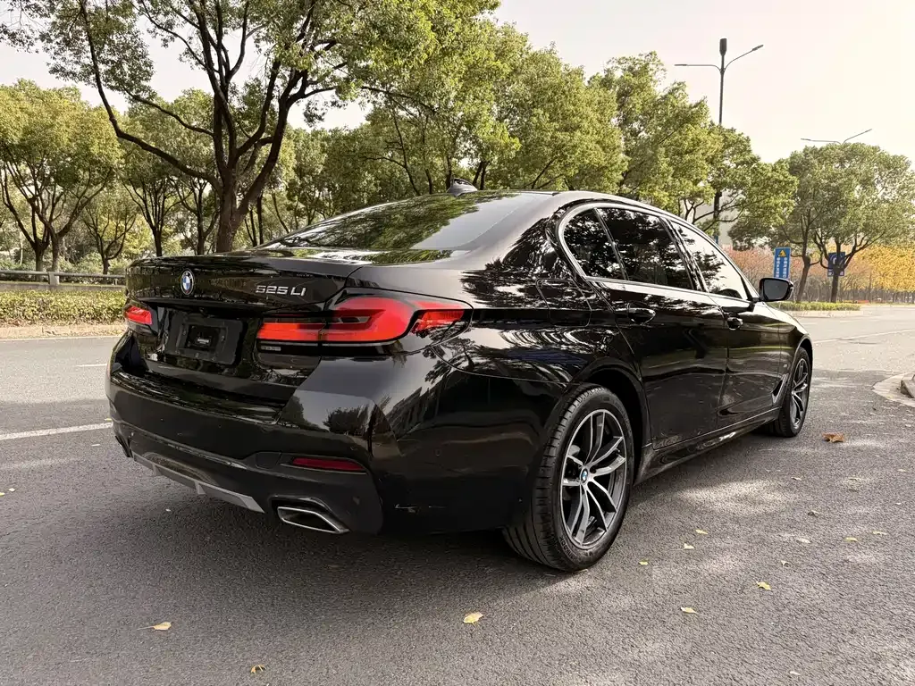 BMW 5 Series — фото 5