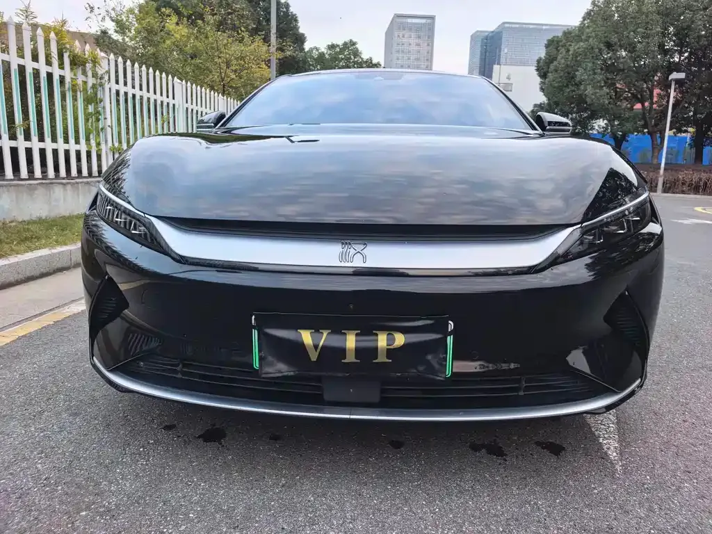 BYD Han — фото 2