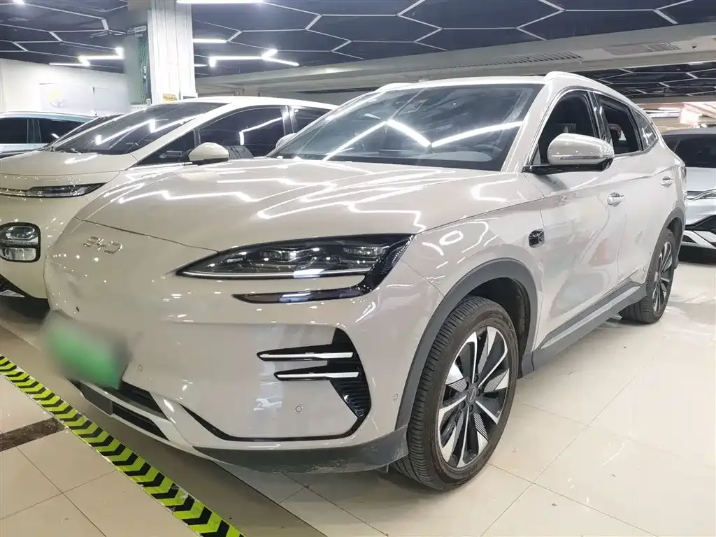 BYD PLUS New Energy — фото 1