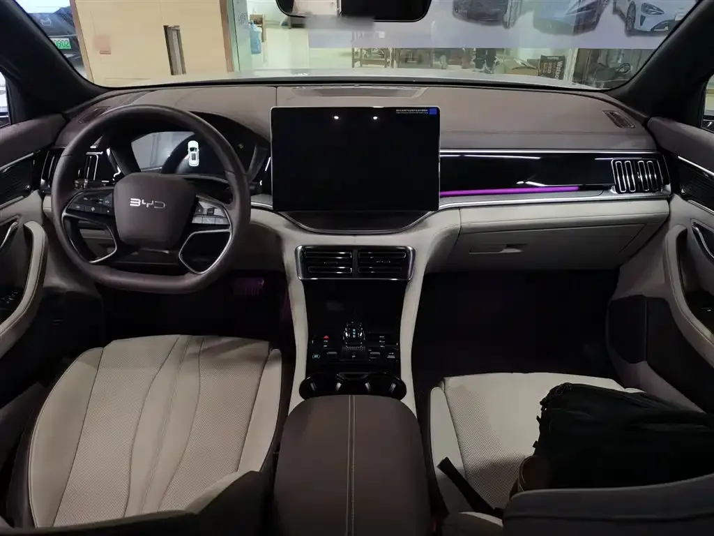 BYD PLUS New Energy — фото 10