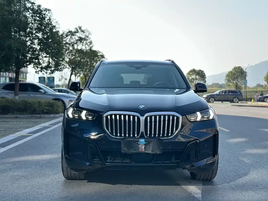 BMW X5 — фото 2