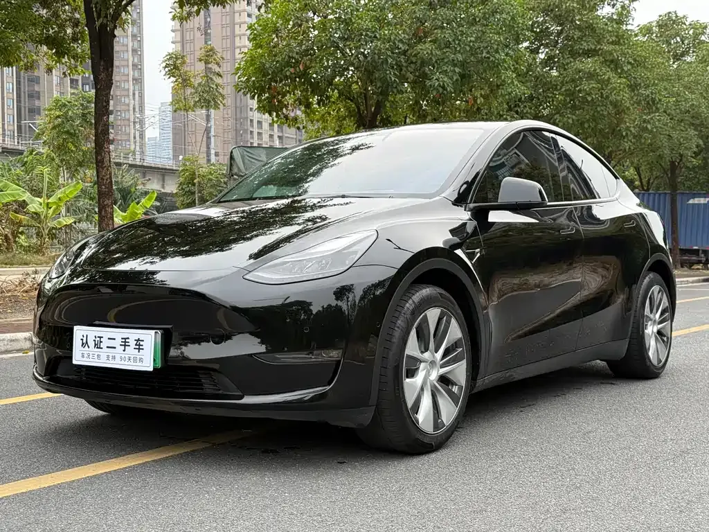 Tesla Model Y — фото 1