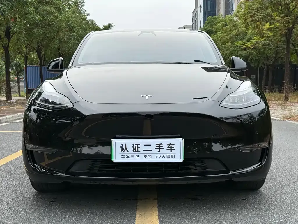 Tesla Model Y — фото 2
