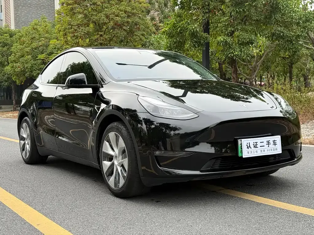 Tesla Model Y — фото 3