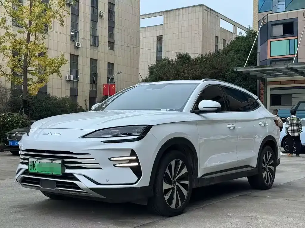 BYD PLUS New Energy — фото 1