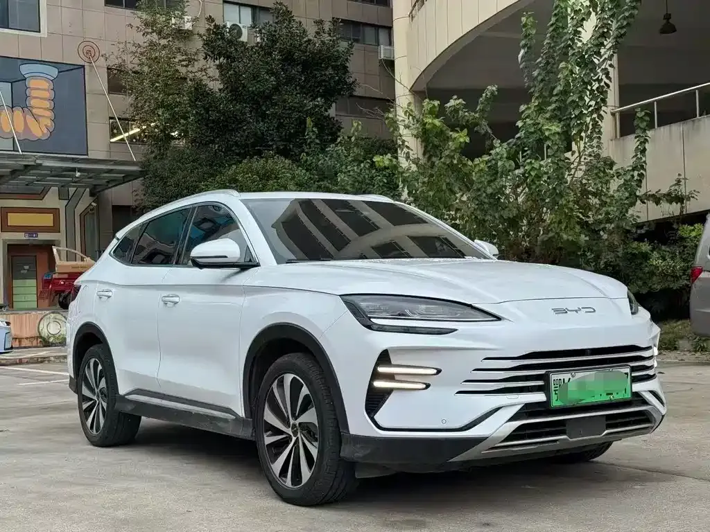 BYD PLUS New Energy — фото 3