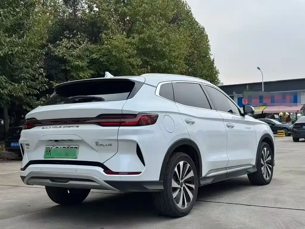 BYD PLUS New Energy — фото 4