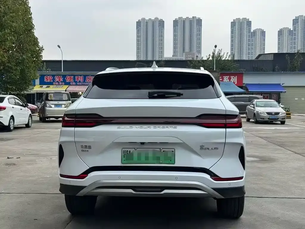 BYD PLUS New Energy — фото 5