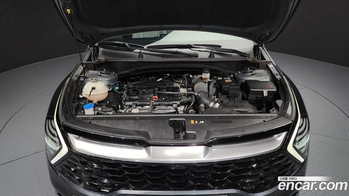 Kia Sportage — фото 6