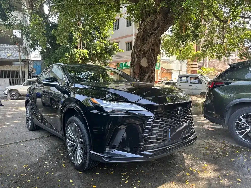 Lexus RX — фото 1