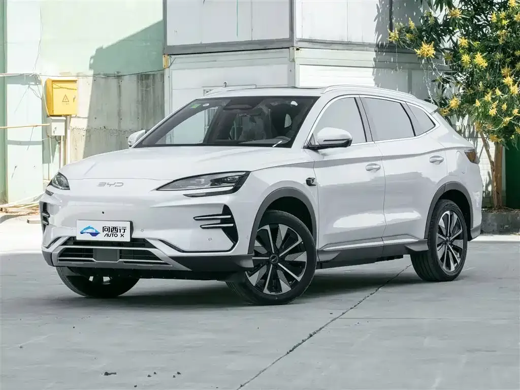 BYD PLUS New Energy — фото 1
