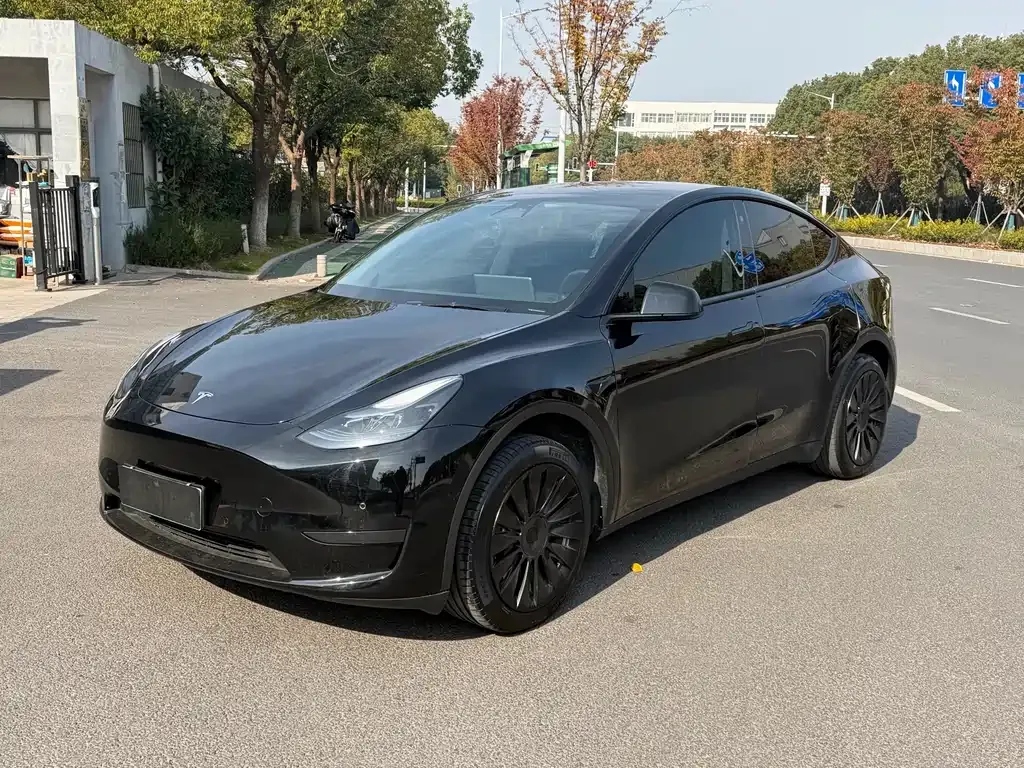 Tesla Model Y — фото 1
