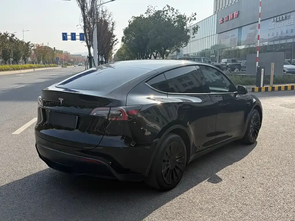 Tesla Model Y — фото 5