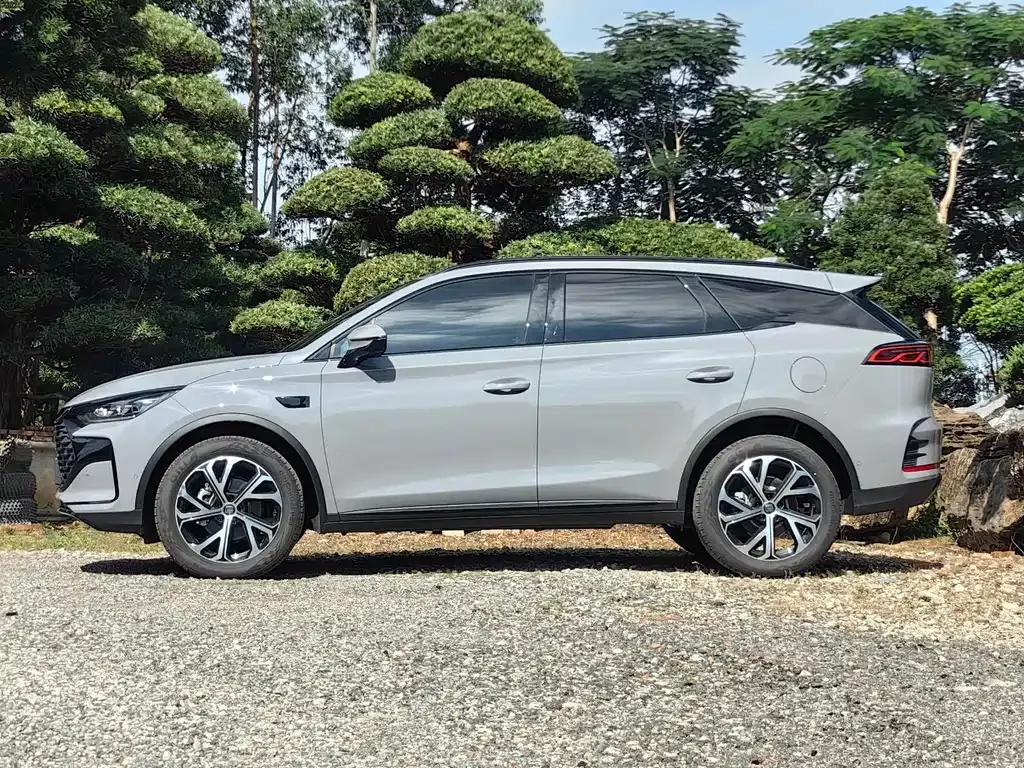 BYD Tang New Energy — фото 10