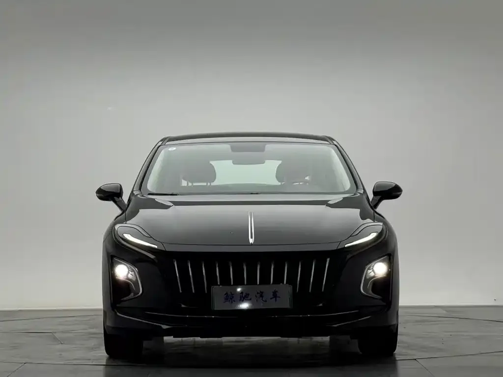 Hongqi E-QM5 — фото 1