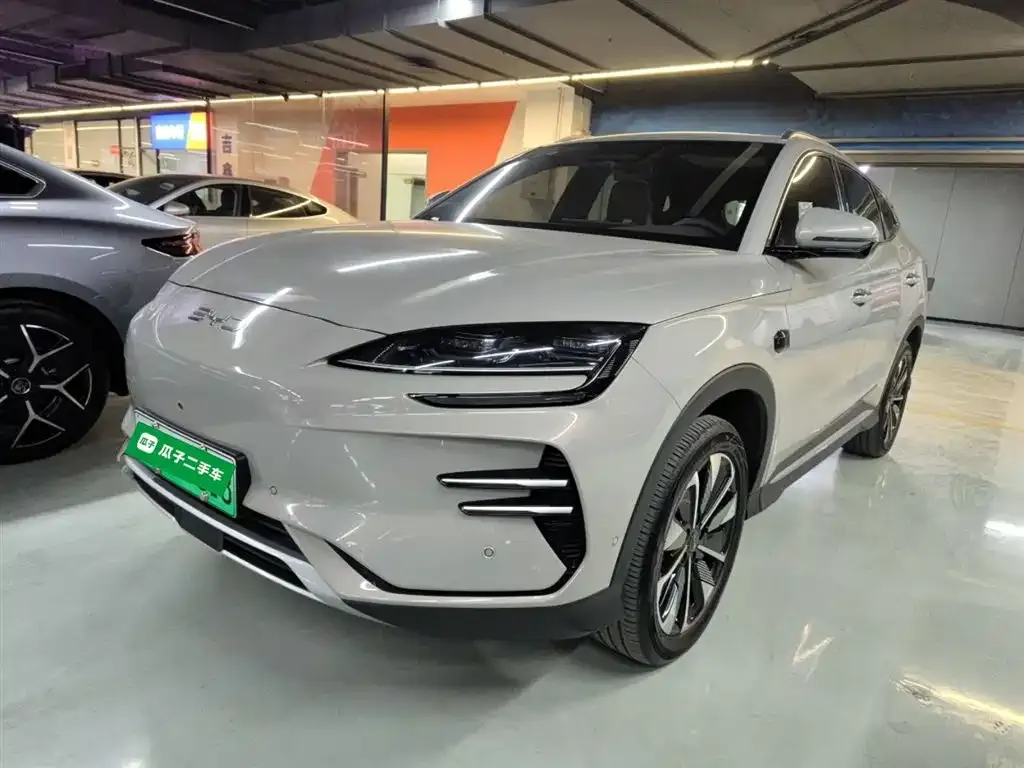 BYD PLUS New Energy — фото 2