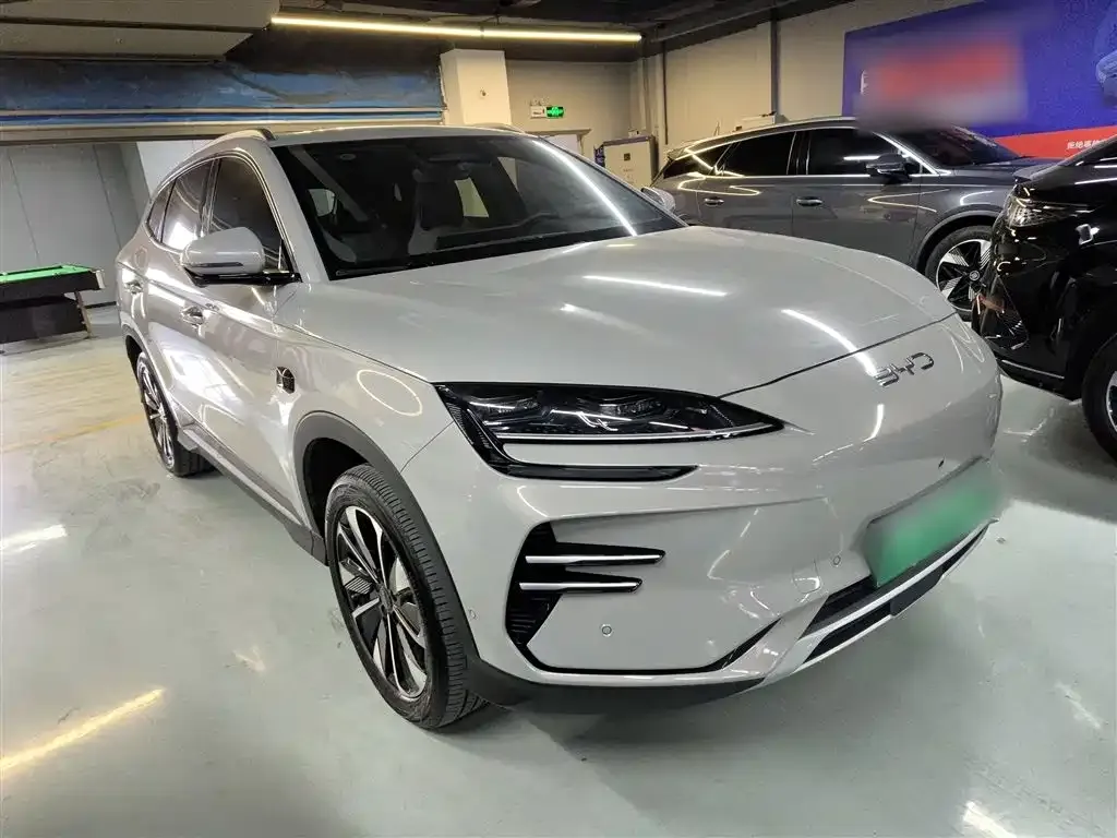 BYD PLUS New Energy — фото 4