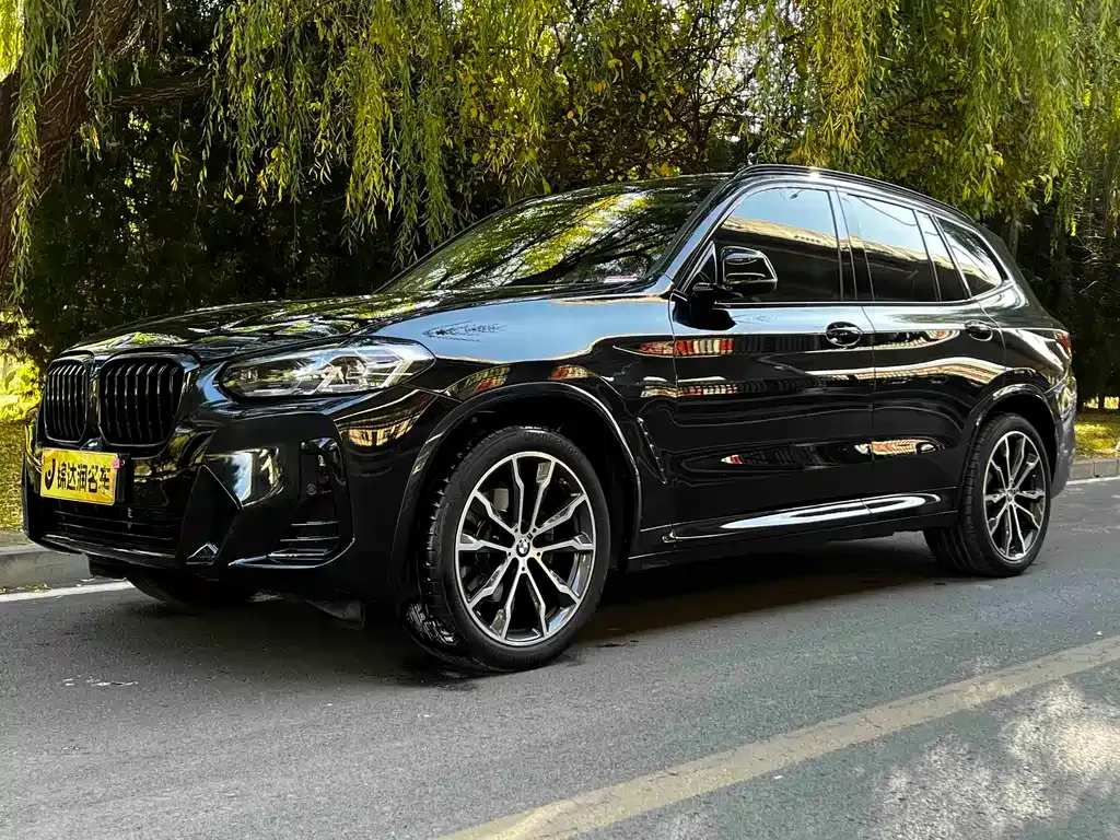BMW X3 — фото 1