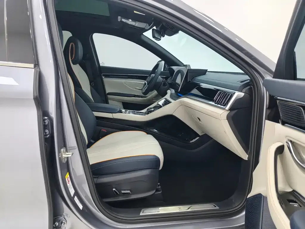 BYD PLUS New Energy — фото 10
