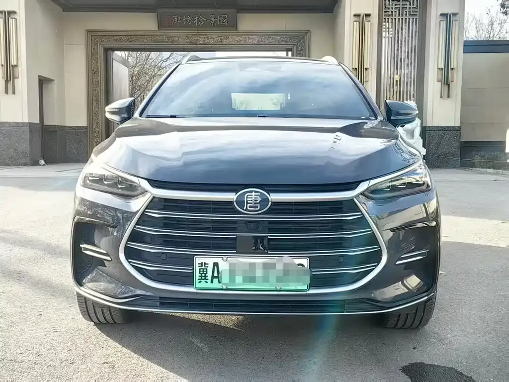 BYD Tang New Energy — фото 1