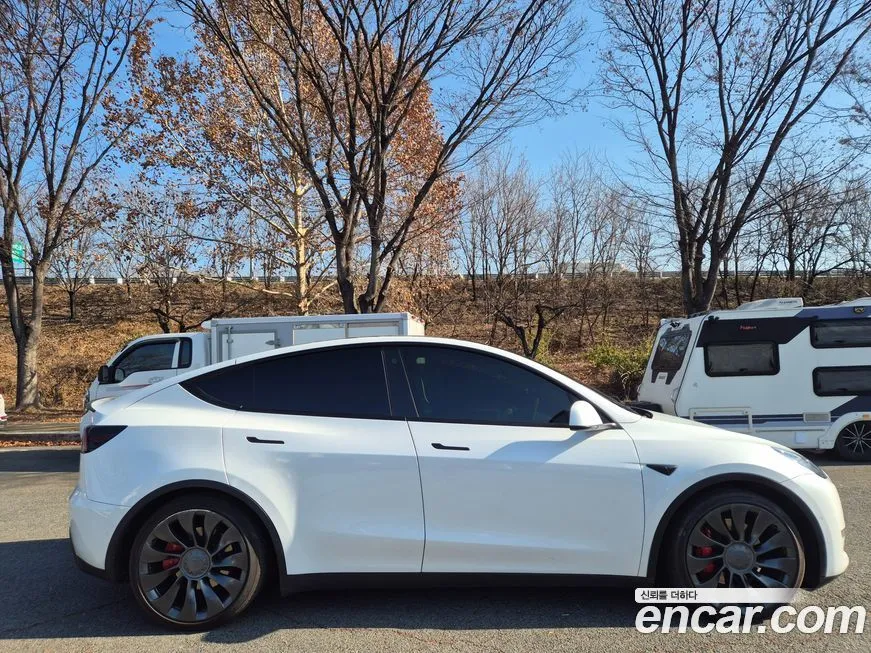 Tesla Model Y — фото 2