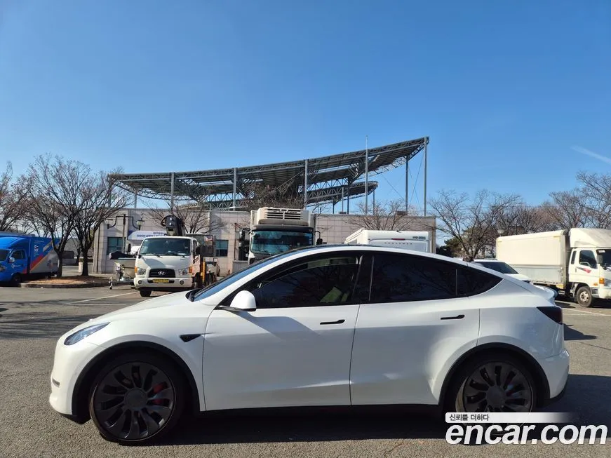 Tesla Model Y — фото 4